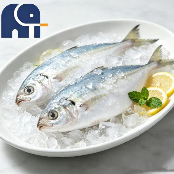 Cá Thu Ấn Độ Chế Biến Tươi