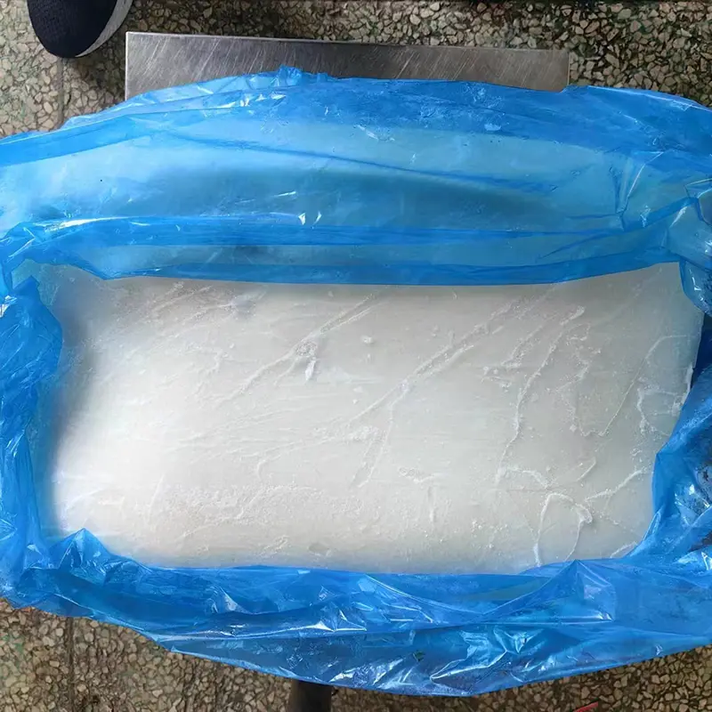 Phi lê mực khổng lồ
