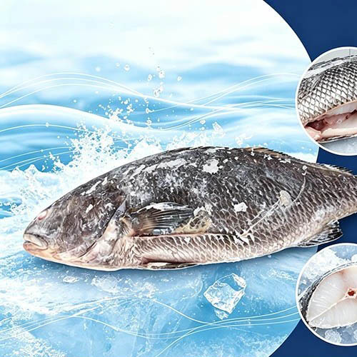 Cá đù nâu đông lạnh bổ dưỡng đã rút ruột