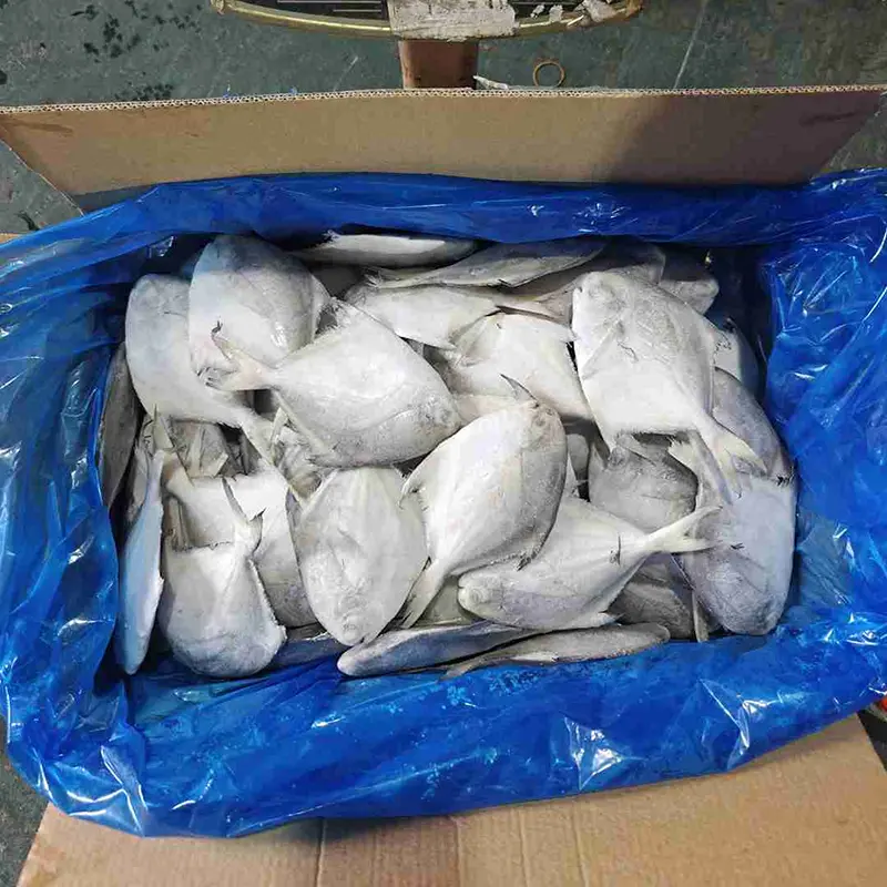 Thùng Carton trắng nguyên con cao cấp