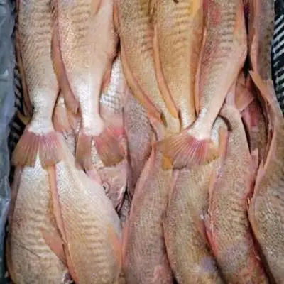 Cá đù vàng đông lạnh cao cấp nguyên con