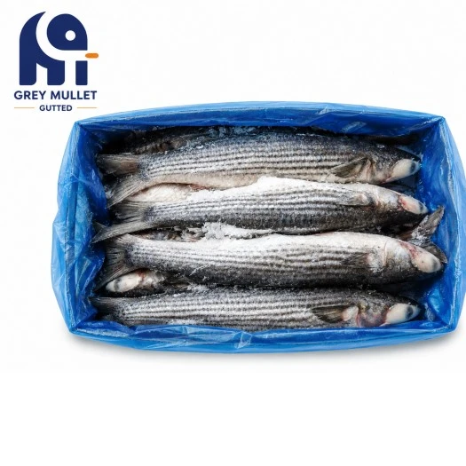 Chế biến tinh chế Cá đối xám đông lạnh rút ruột
