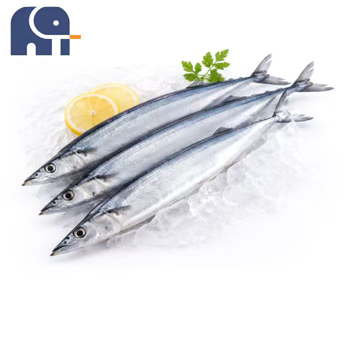 Cá thu đao Thái Bình Dương đông lạnh nguyên con mùa đông